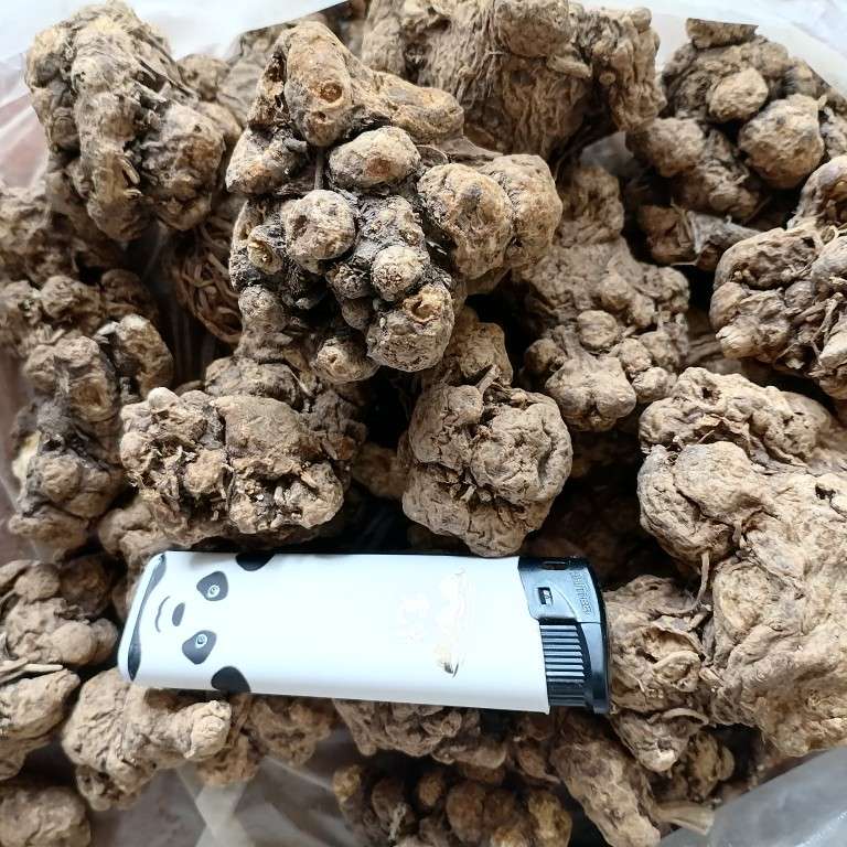 中药材