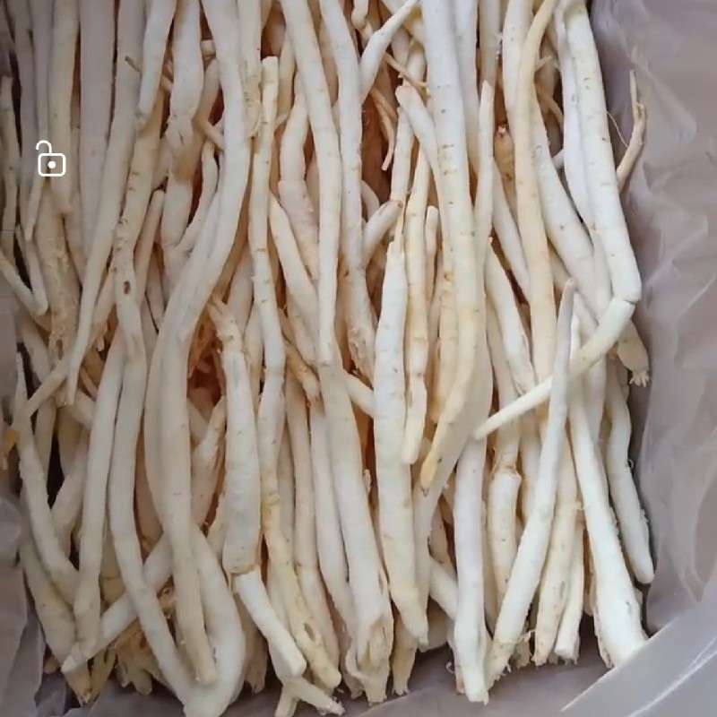 中药材