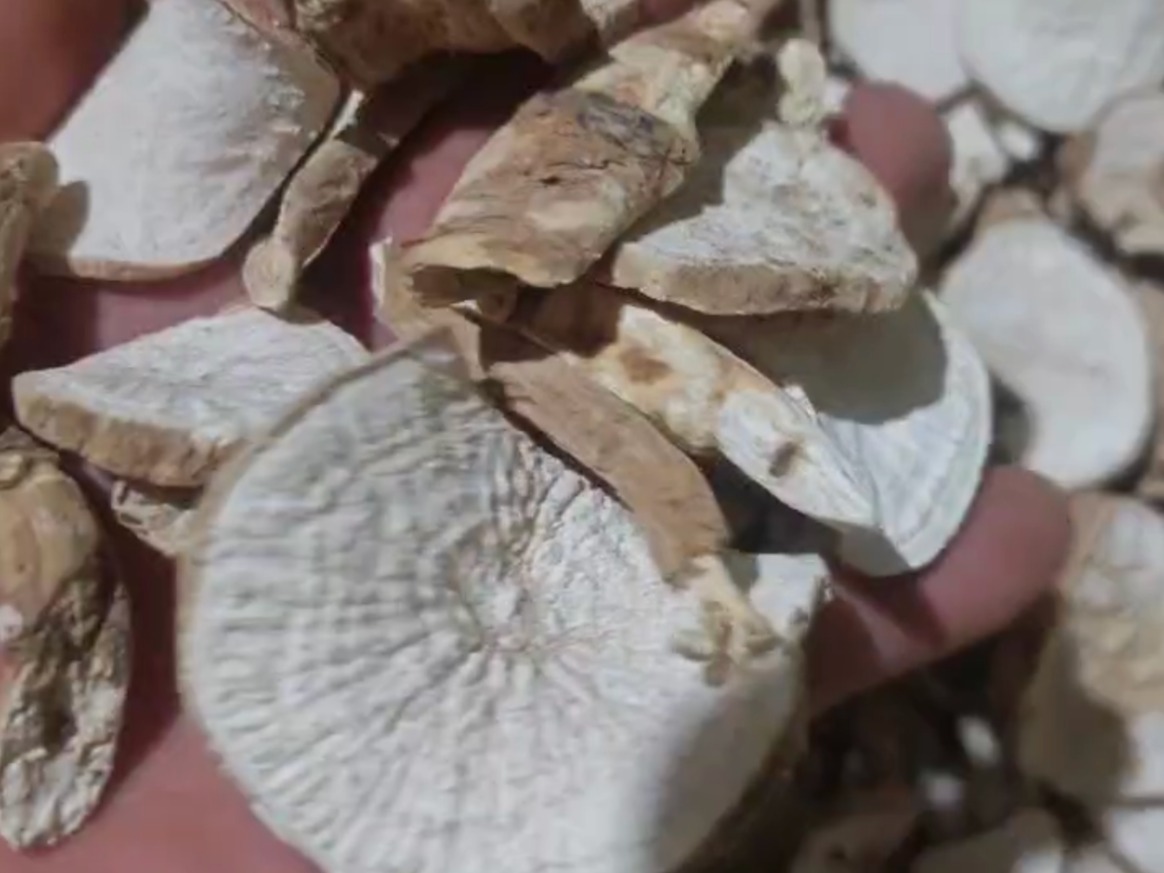 中药材