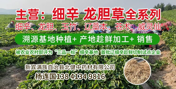 APP首页滚图-杨连国