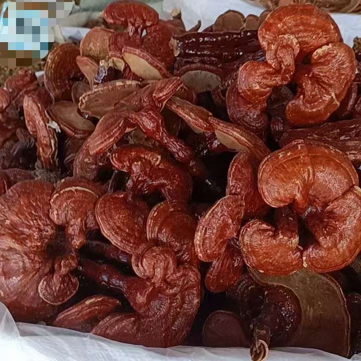 中药材