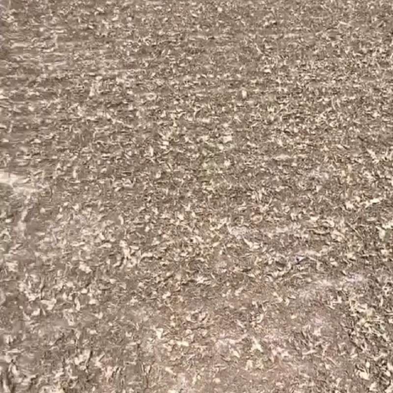 中药材