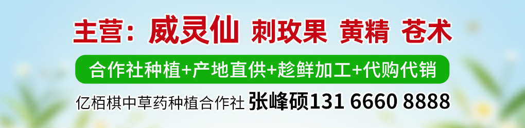 PC供求首页滚图-张峰硕