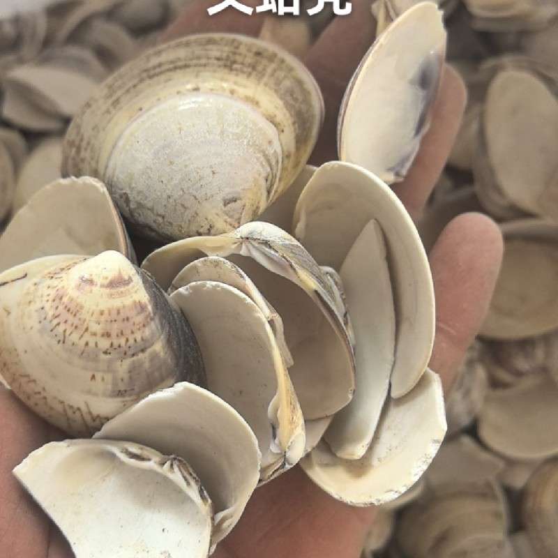 中药材