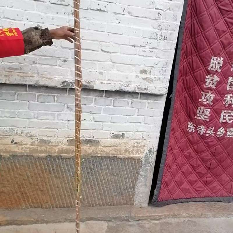 中药材