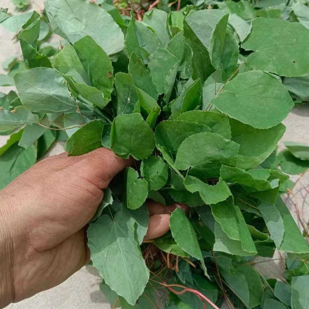 中药材