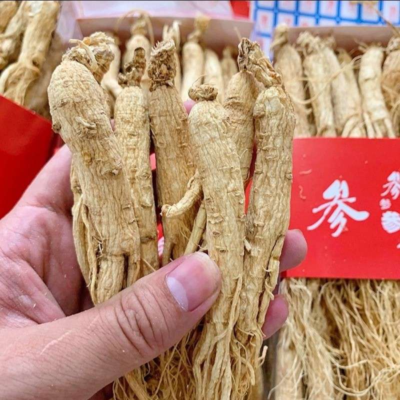 中药材