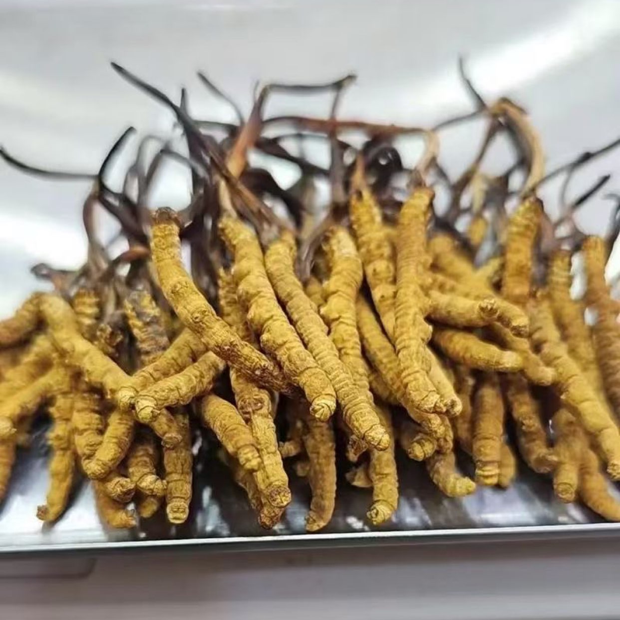 中药材