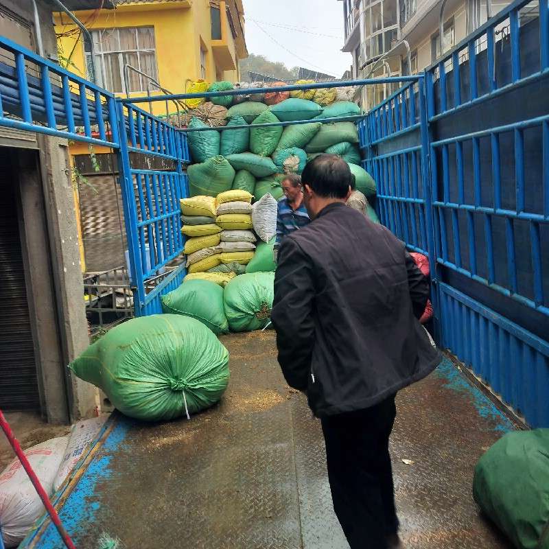 中药材
