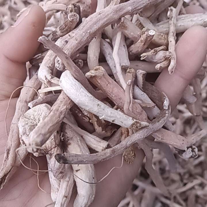 中药材