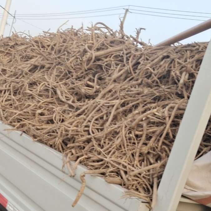 中药材