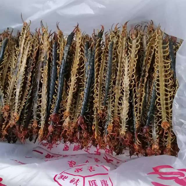 中药材