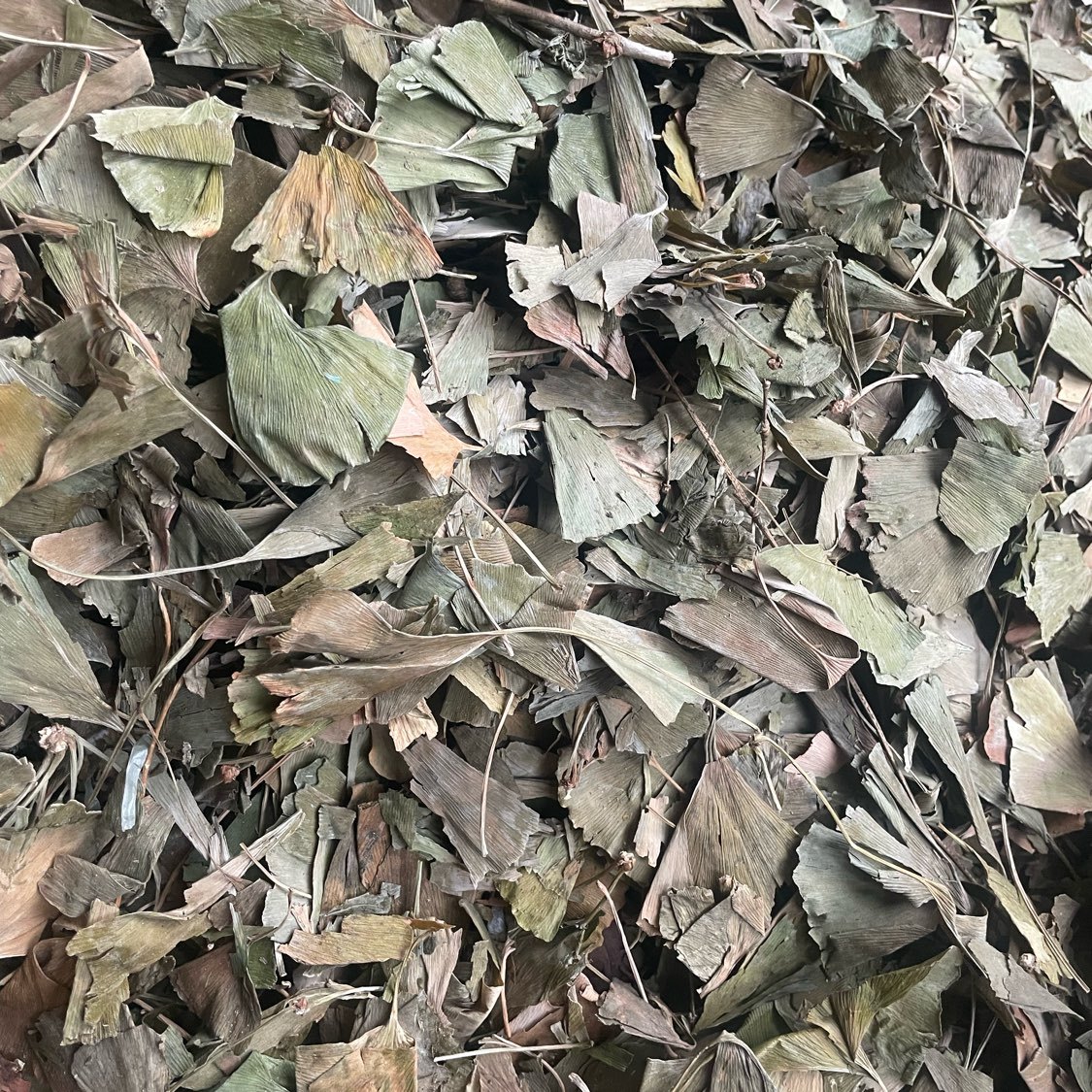 中药材