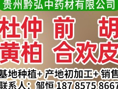 中药材