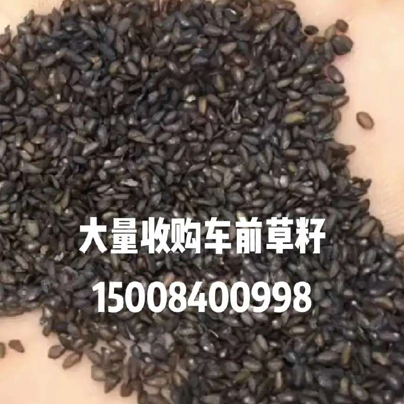 产品供应图