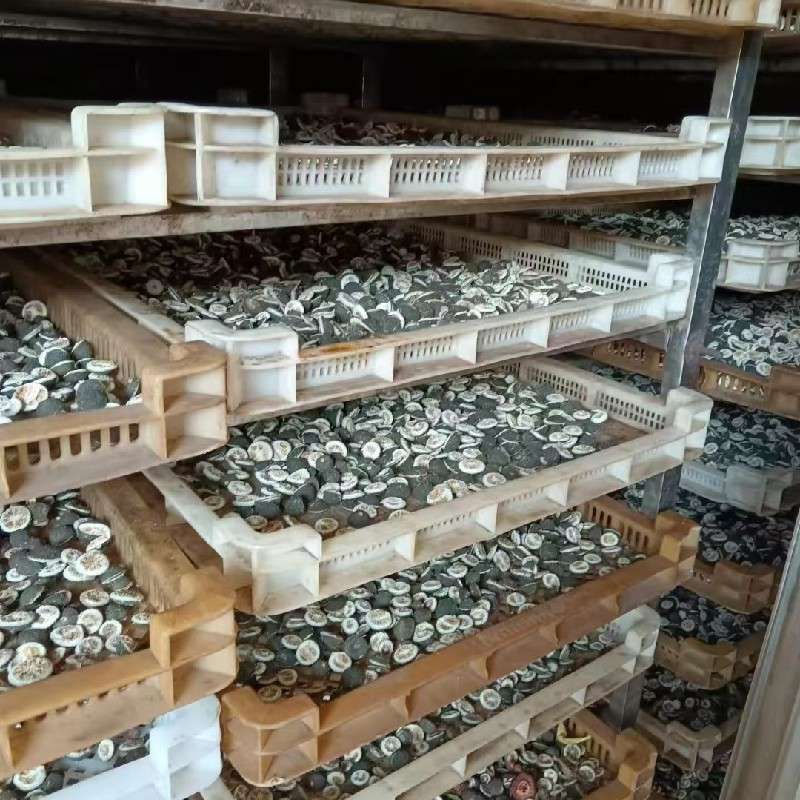 产品供应图