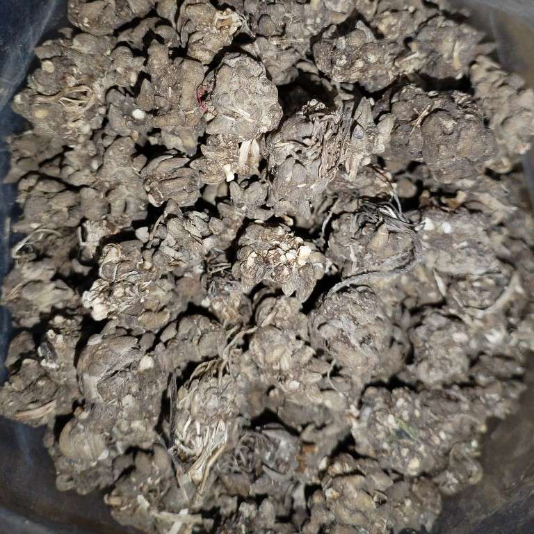 中药材