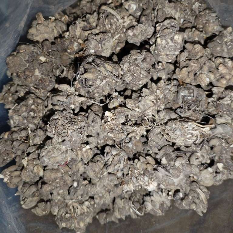 中药材