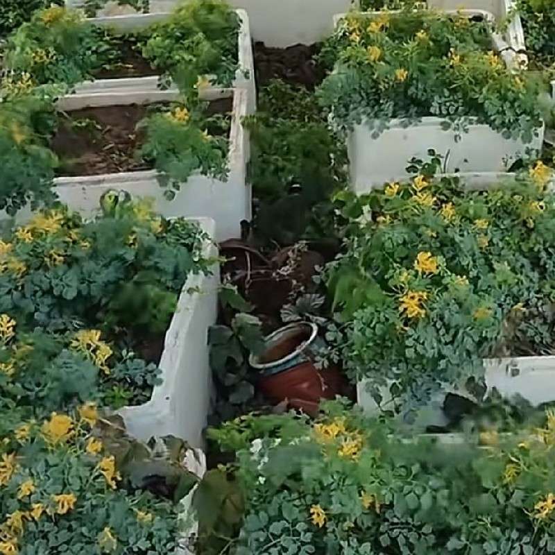 产品供应图
