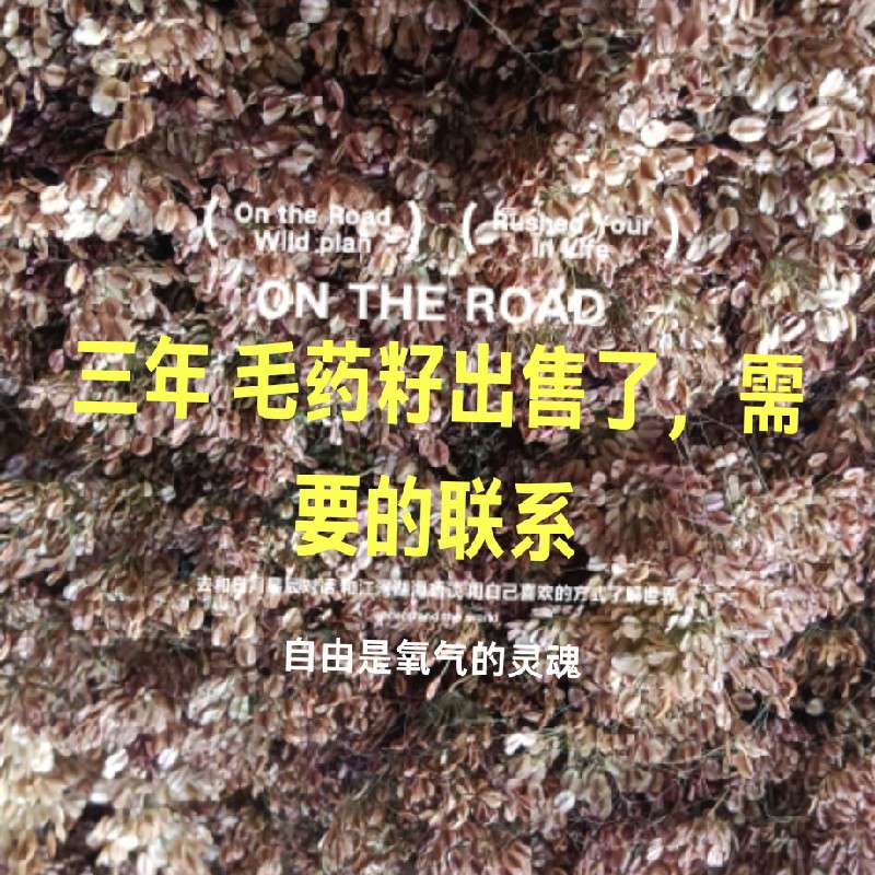 中药材