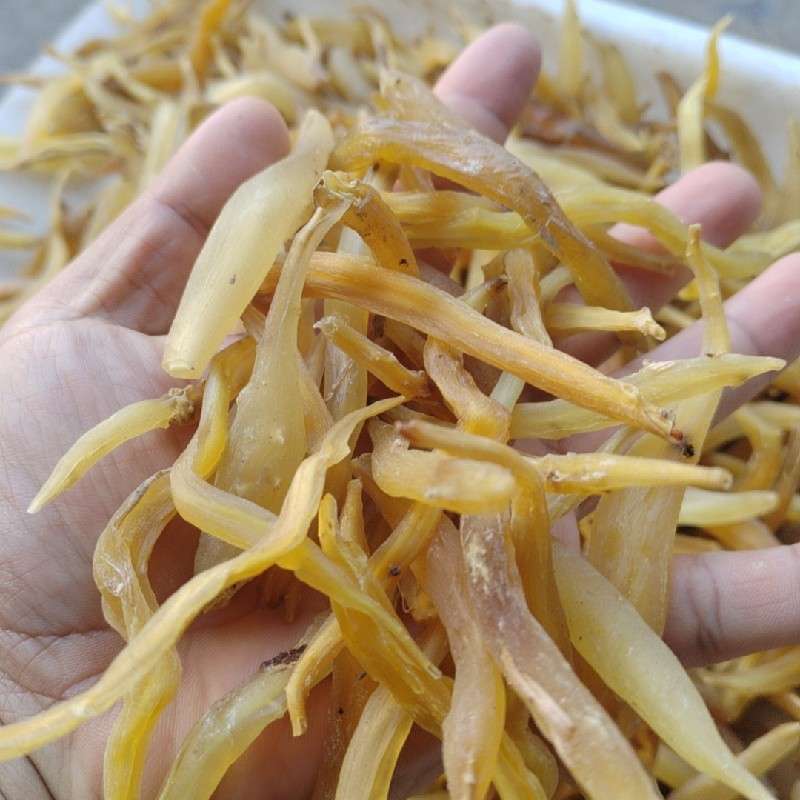 中药材