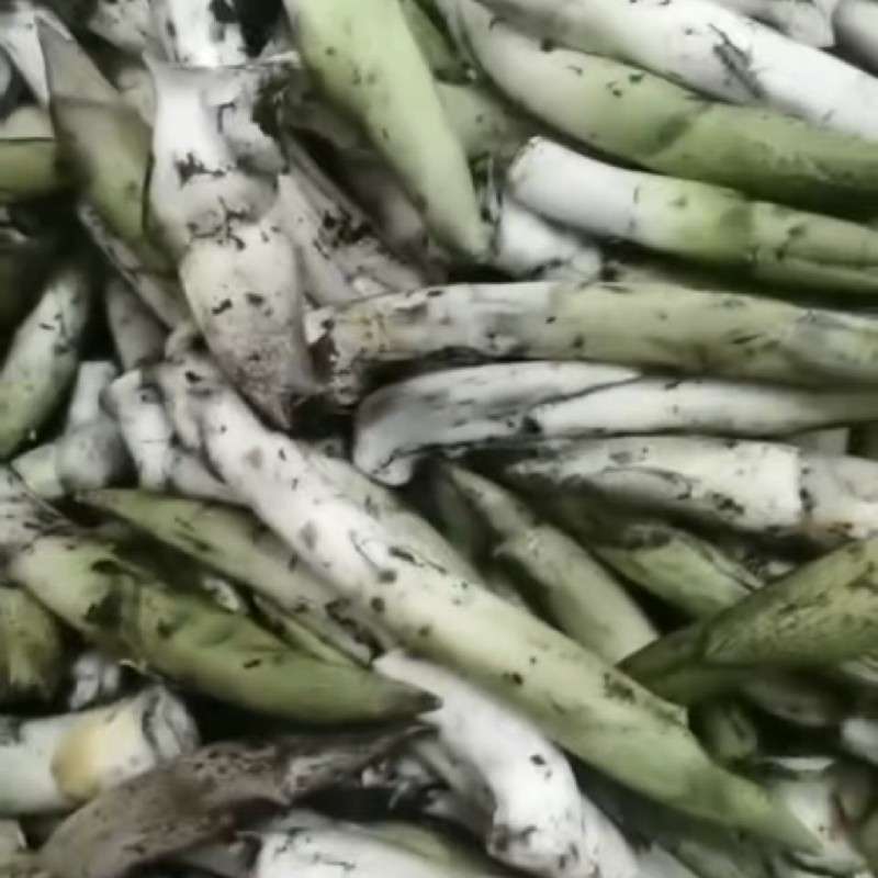 中药材
