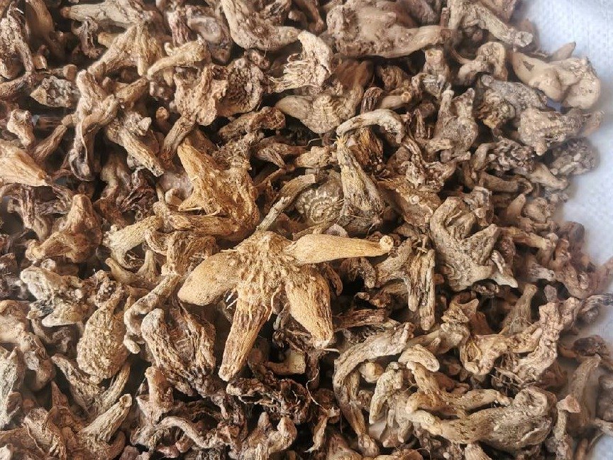 中药材