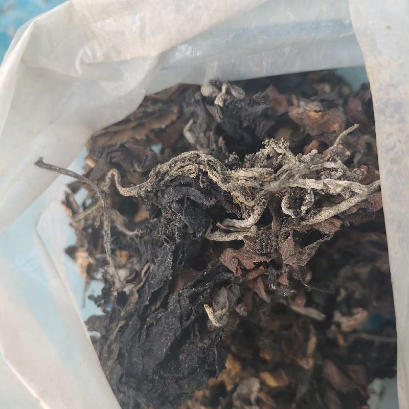 中药材
