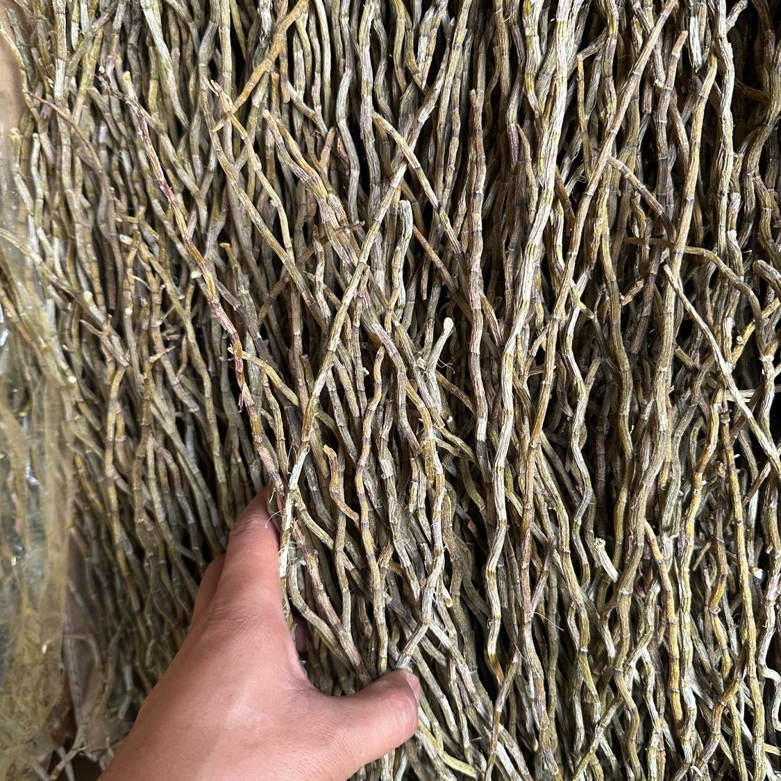 中药材