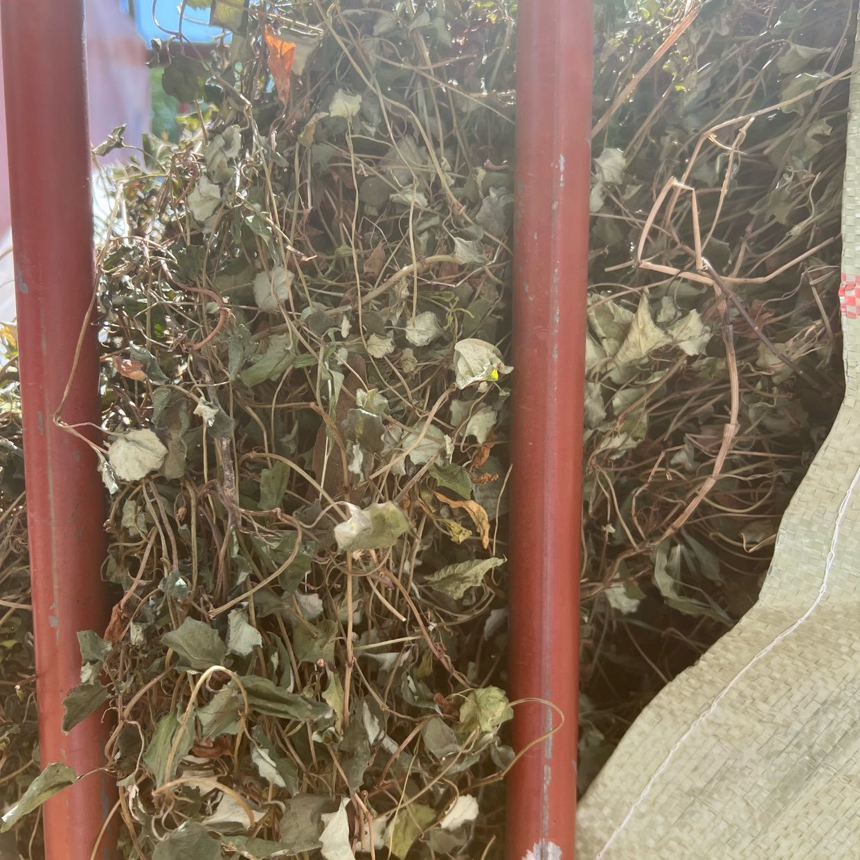 中药材