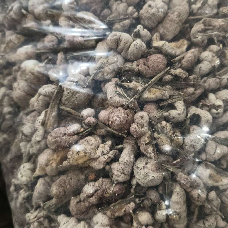 中药材