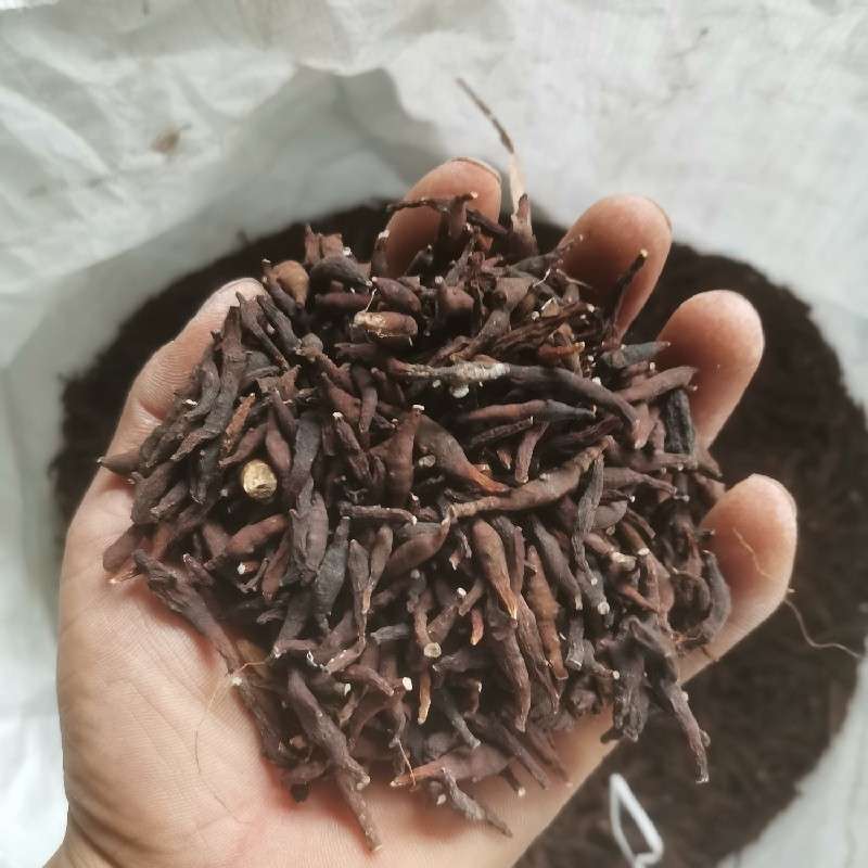 中药材