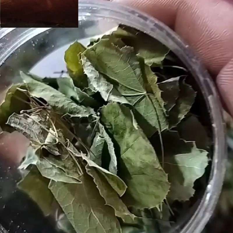 中药材