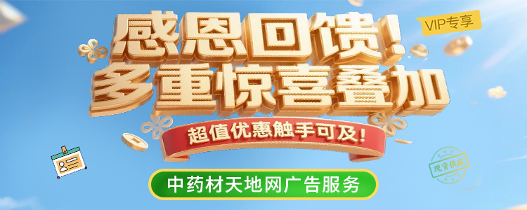 天地网会员年中促销