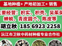 中药材