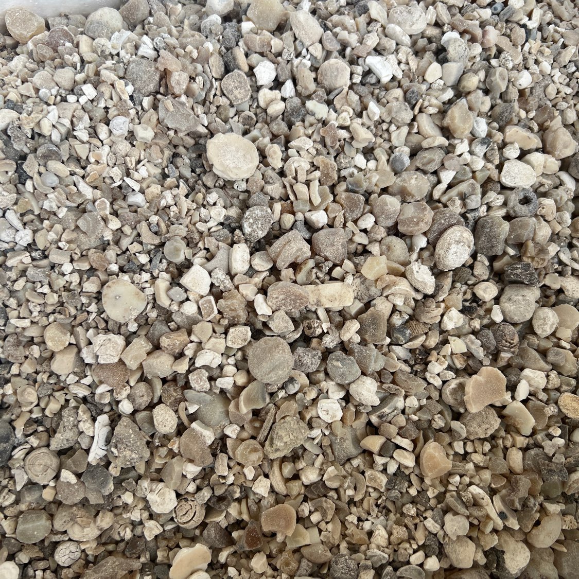 中药材