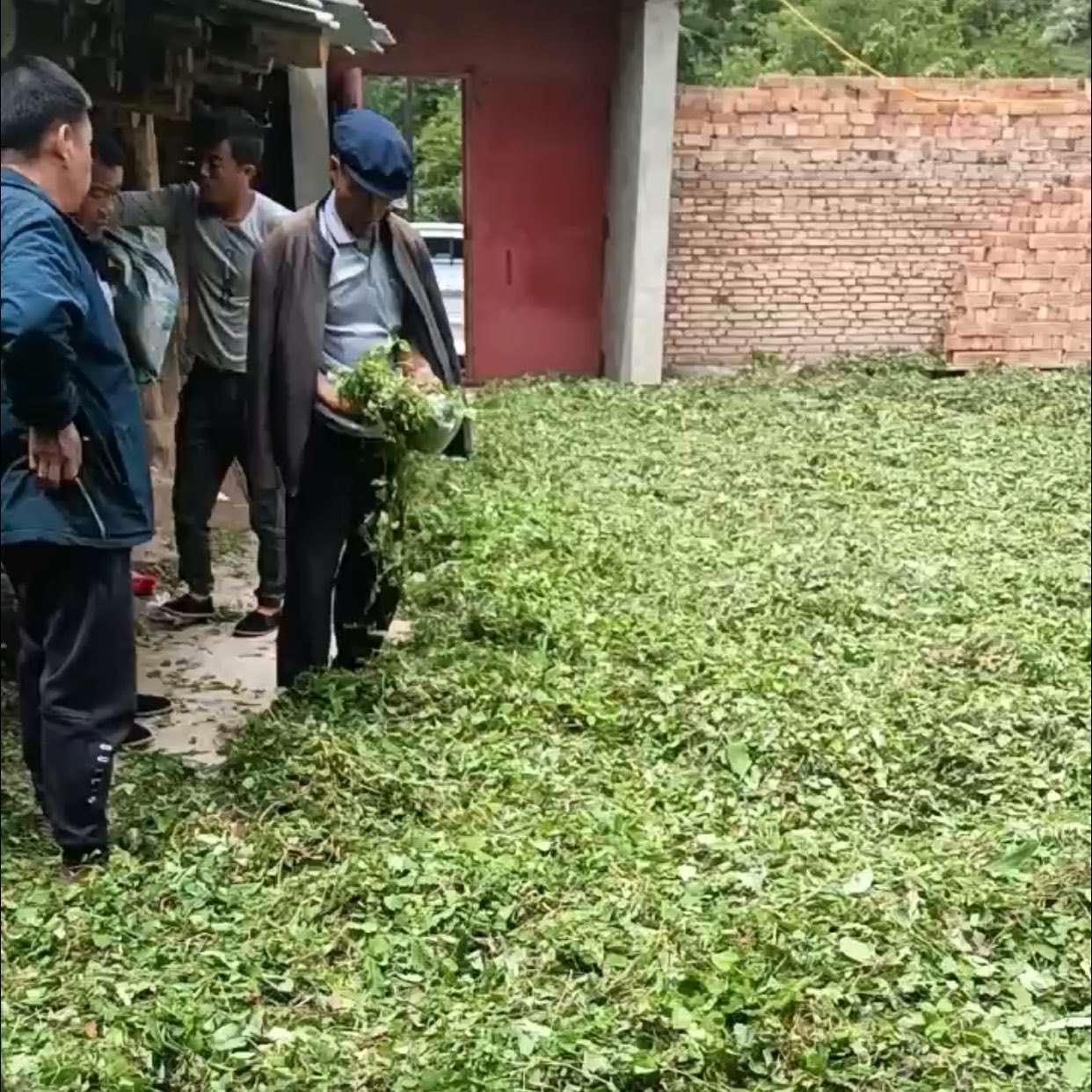 中药材