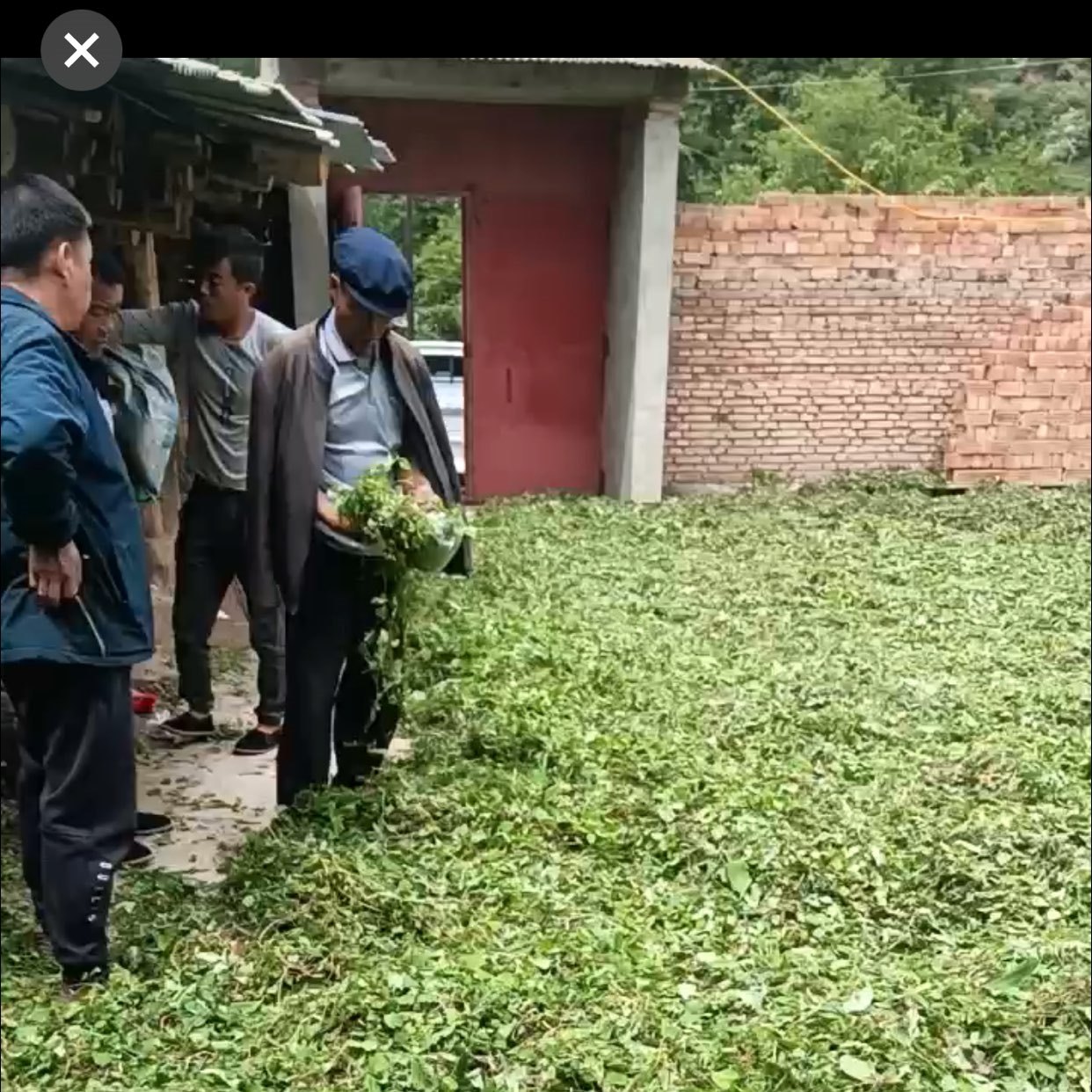 中药材