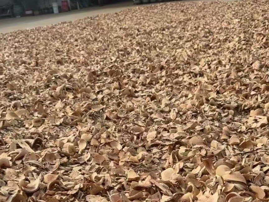中药材