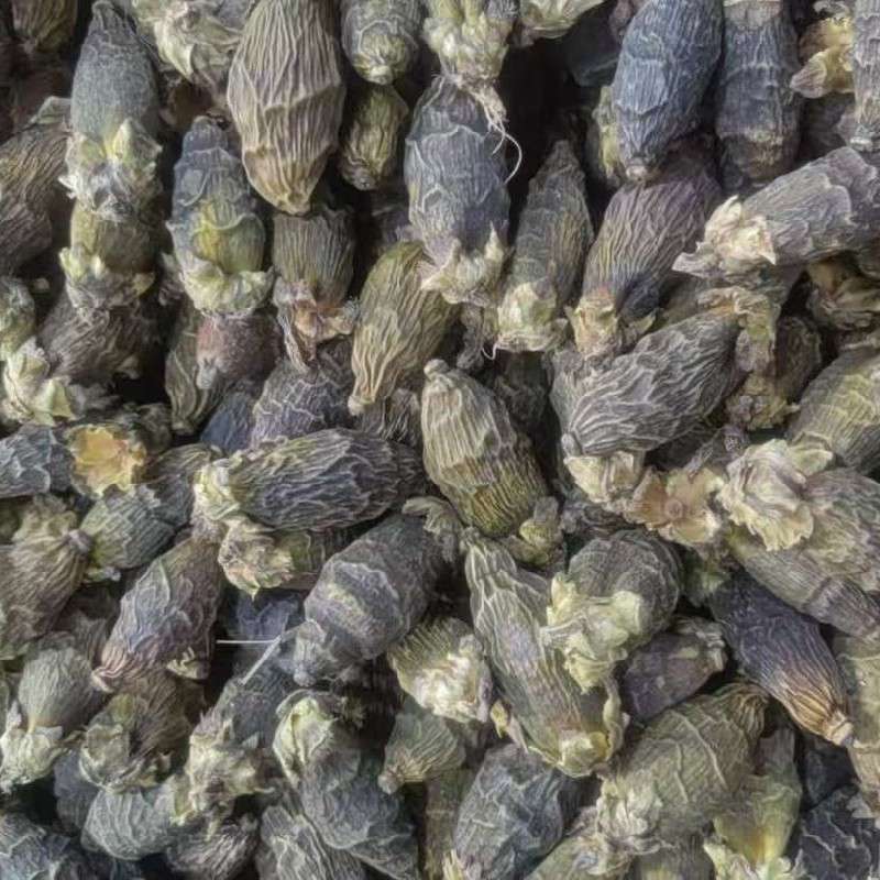 中药材
