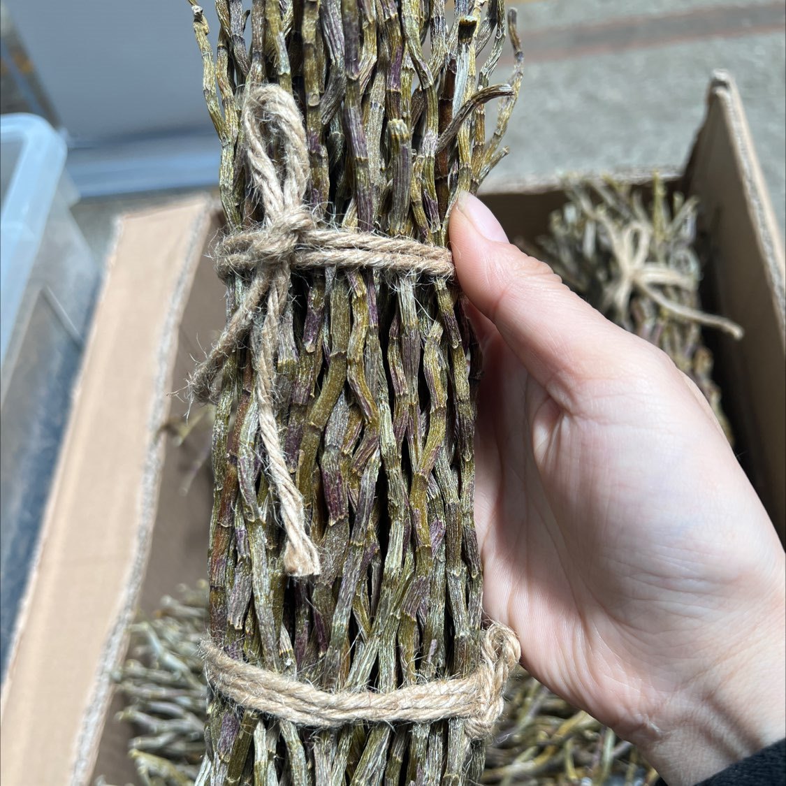 中药材