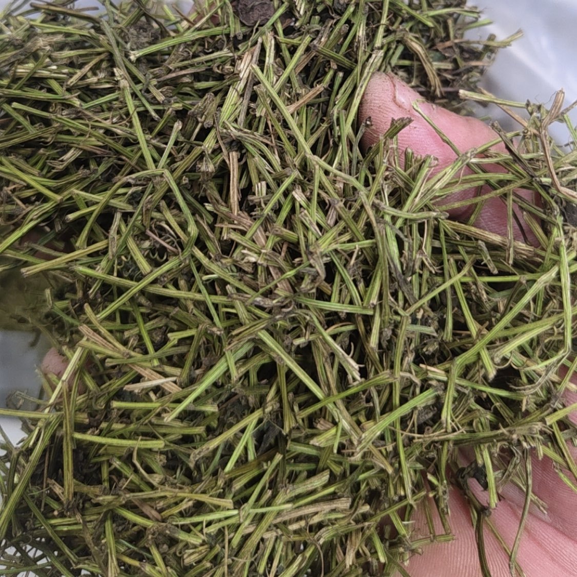 中药材