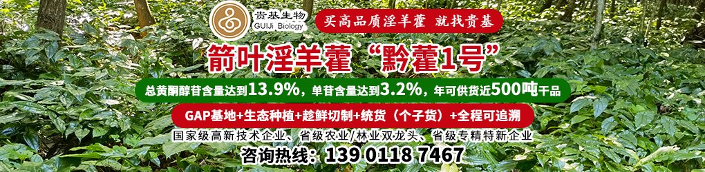 PC供求首页滚图-汪永平
