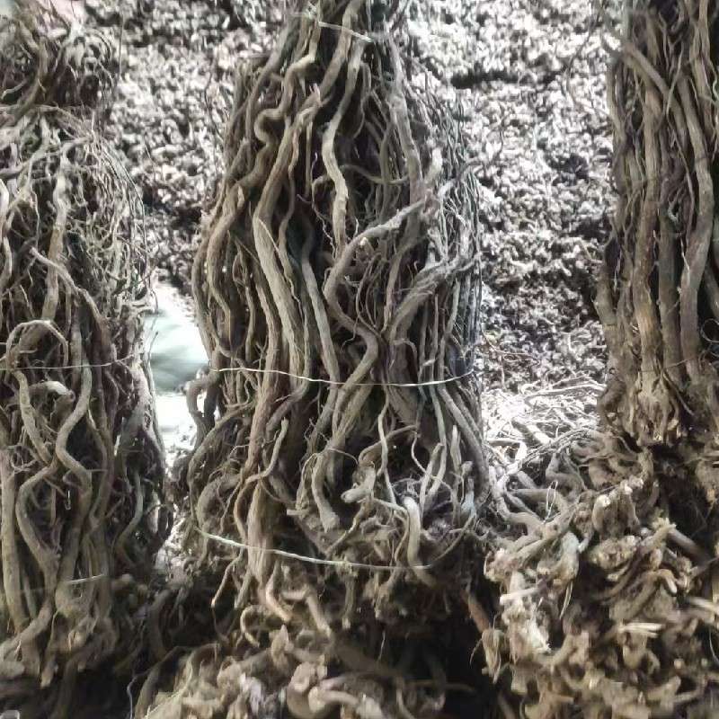 中药材