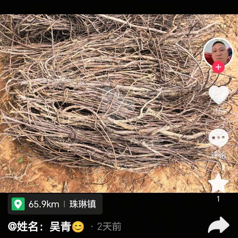 中药材