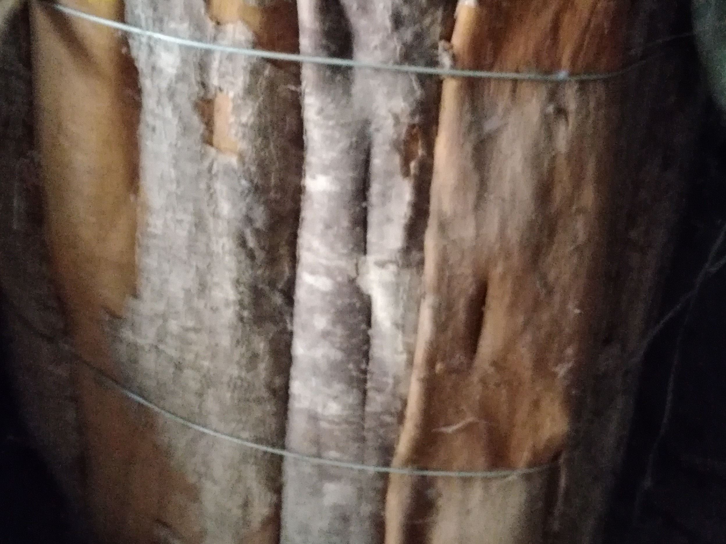 中药材