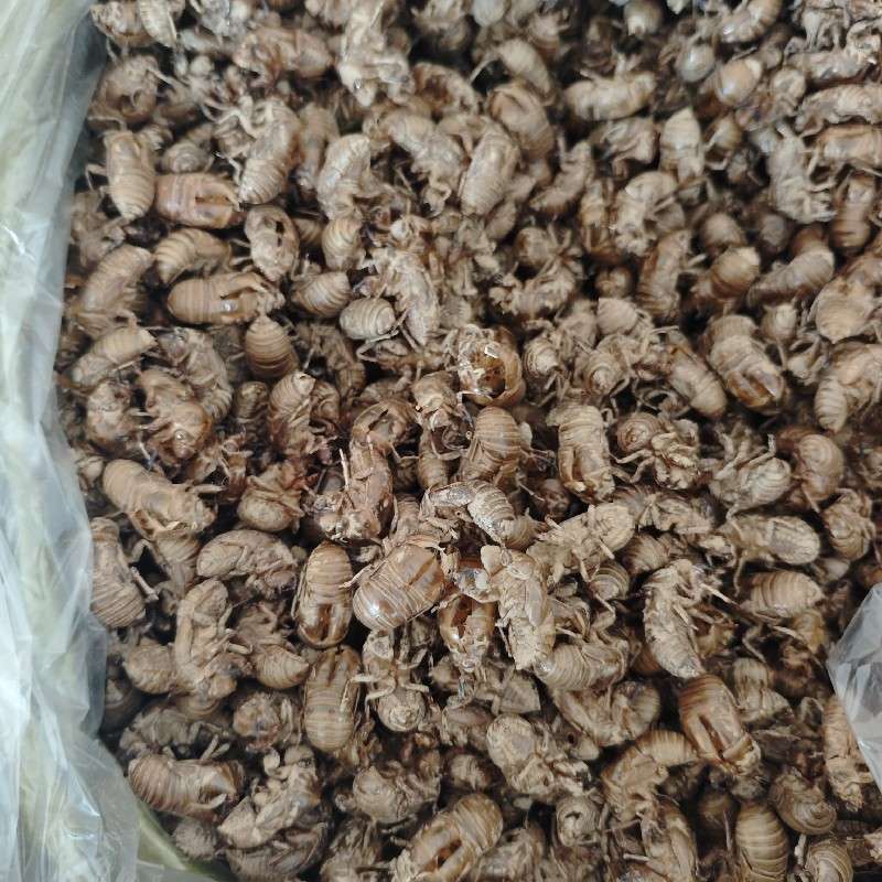 中药材