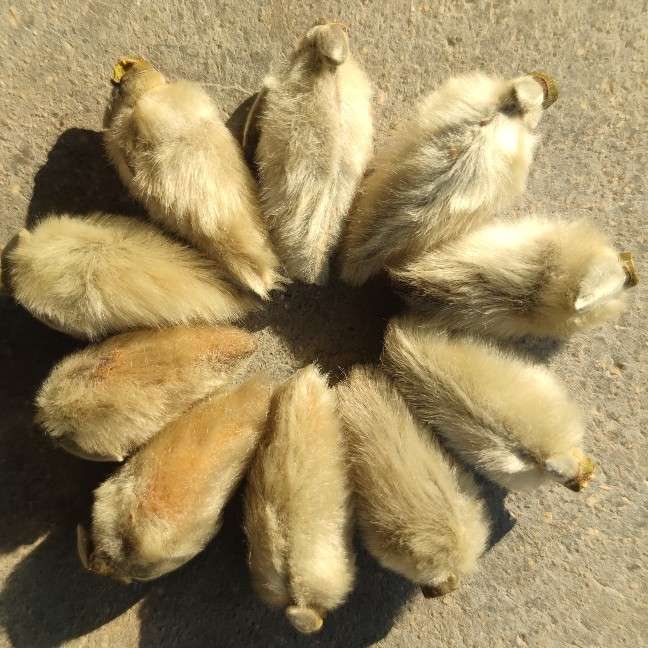 中药材