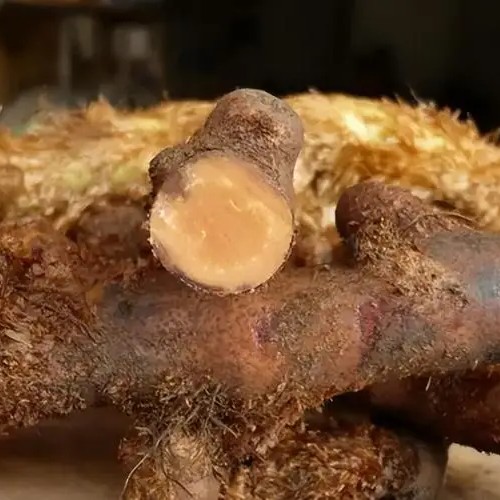 中药材