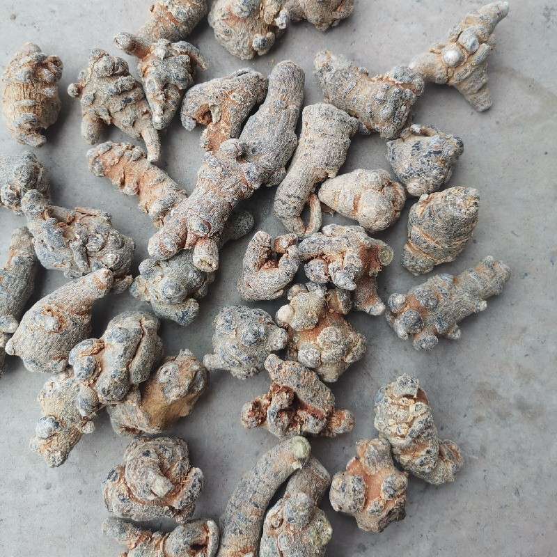 中药材